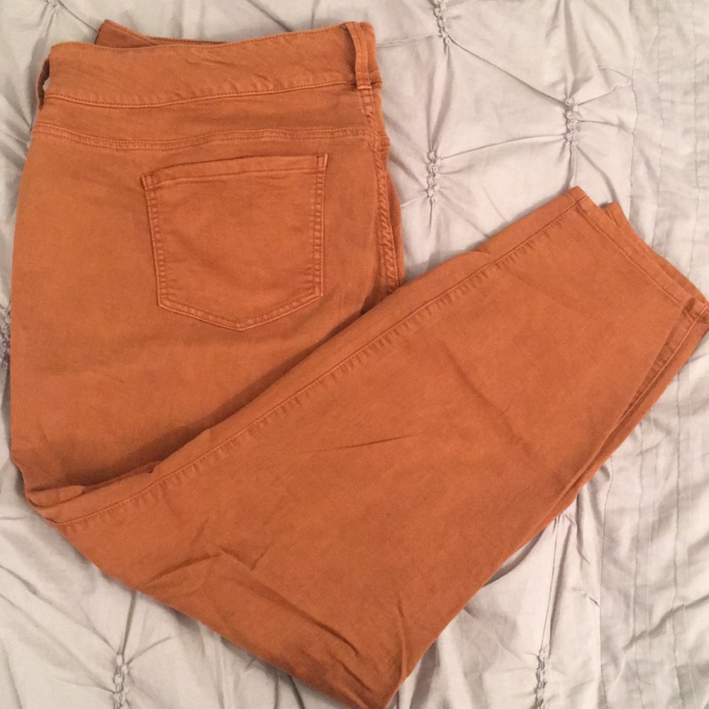 Burnt orange jeggings